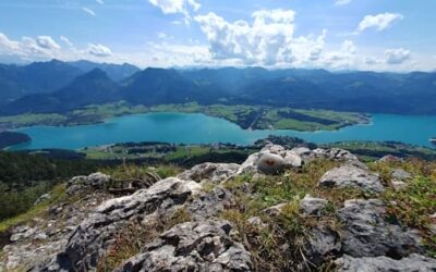 Stein Nr. 100 – St. Wolfgang – Vormauerstein