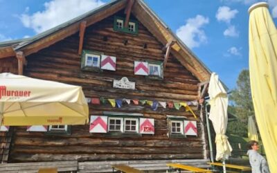 Stein Nr. 101 – Obertauern – Südwiener Hütte