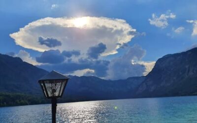 Stein Nr. 50 – Bohinjsko – Bohinsee
