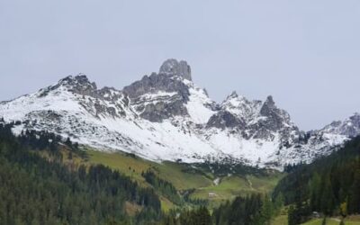 Stein Nr. 52 – Filzmoos – Aualm