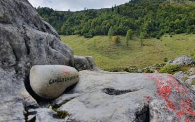 Stein Nr. 53 – Mühlbach am Hochkönig – Molteraualm
