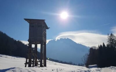 Stein Nr. 66 – Ramsau – Taubensee