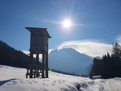 Stein Nr. 66 – Ramsau – Taubensee