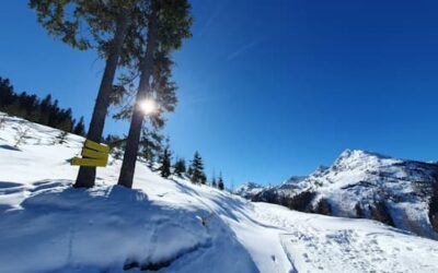 Stein Nr. 67 – Schladming – Hochwurzen
