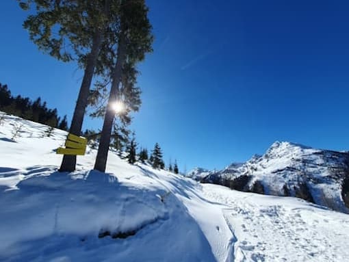 Stein Nr. 67 – Schladming – Hochwurzen