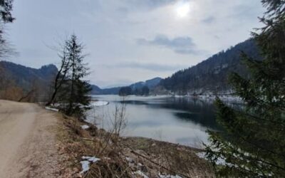 Stein Nr. 68 – Burgbachau – Schwarzensee