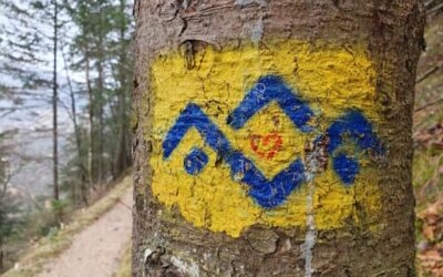 Stein Nr. 69 – Maria Gern – Almbachklamm