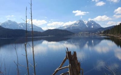 Stein Nr. 73 – Altaussee – Seewiese