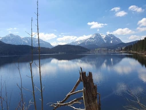 Stein Nr. 73 – Altaussee – Seewiese