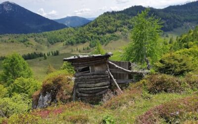 Stein Nr. 78 – Abtenau – Taborberg