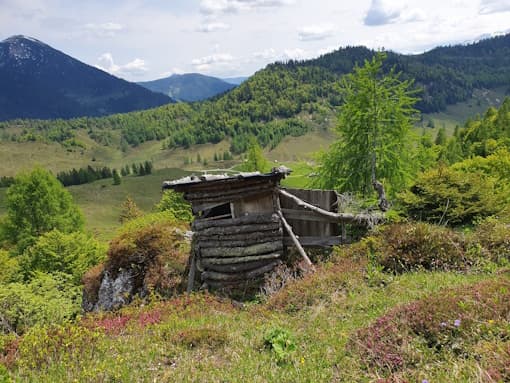 Stein Nr. 78 – Abtenau – Taborberg