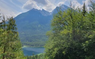 Stein Nr. 79 – Ramsau – Halsalm