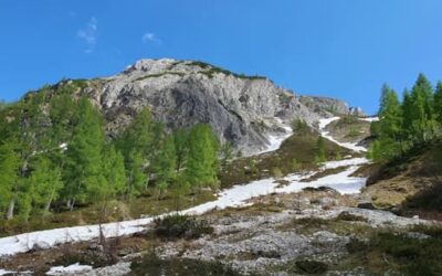 Stein Nr. 82 – Obertauern – Südwienerhütte