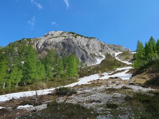 Stein Nr. 82 – Obertauern – Südwienerhütte