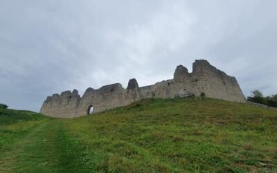 Stein Nr. 93 – Bad Reichenhall – Burgenweg