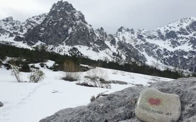 Stein Nr. 96 – Wimbachgries – Ramsau